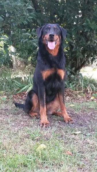 Haizeur des terres de miat