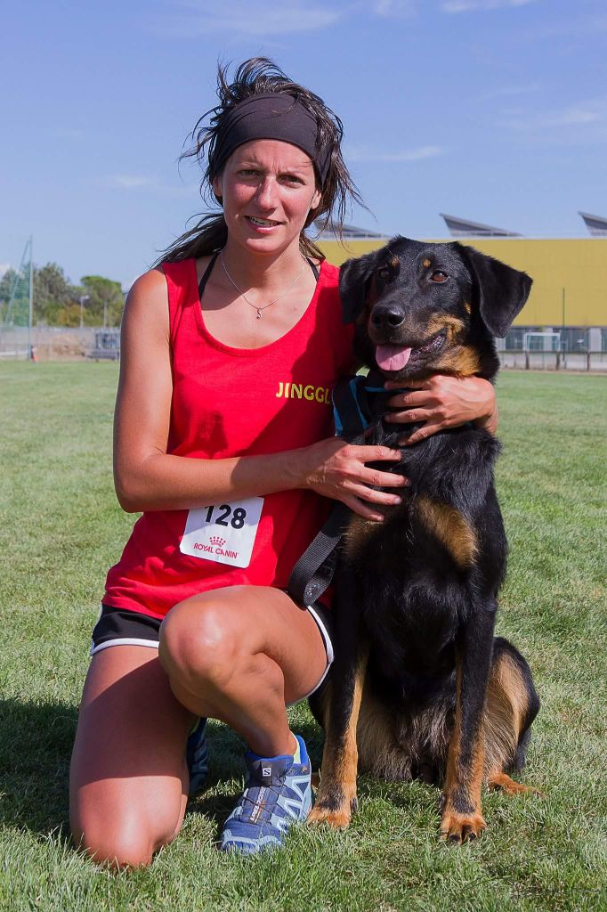 Jinggle des terres de miat championne de France par équipe en agility